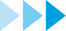 Separador con motivos del logo